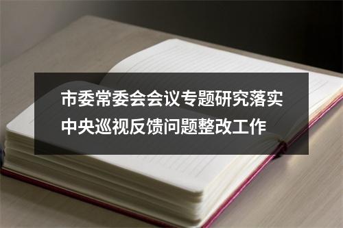 市委常委会会议专题研究落实中央巡视反馈问题整改工作