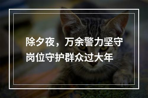 除夕夜，万余警力坚守岗位守护群众过大年