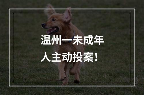 温州一未成年人主动投案！