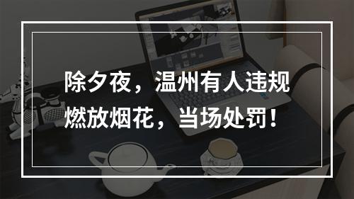 除夕夜，温州有人违规燃放烟花，当场处罚！