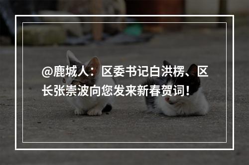 @鹿城人：区委书记白洪楞、区长张崇波向您发来新春贺词！