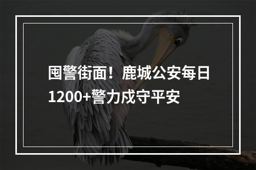 囤警街面！鹿城公安每日1200+警力戍守平安
