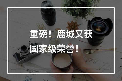 重磅！鹿城又获国家级荣誉！