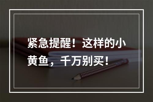 紧急提醒！这样的小黄鱼，千万别买！