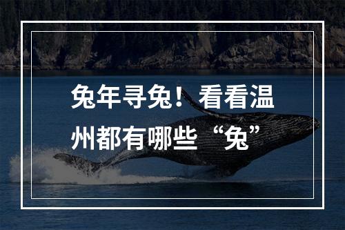 兔年寻兔！看看温州都有哪些“兔”