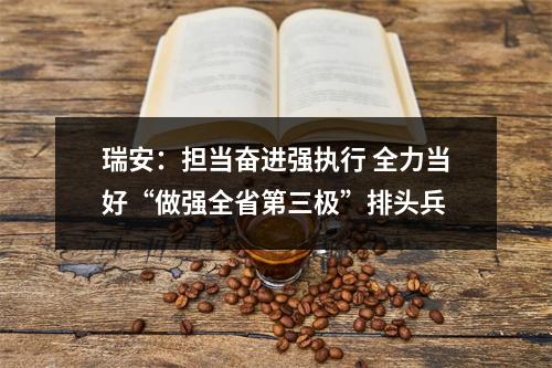 瑞安：担当奋进强执行 全力当好“做强全省第三极”排头兵