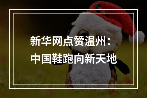 新华网点赞温州：中国鞋跑向新天地