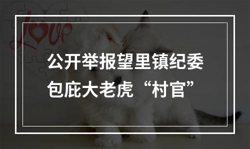公开举报望里镇纪委包庇大老虎“村官”