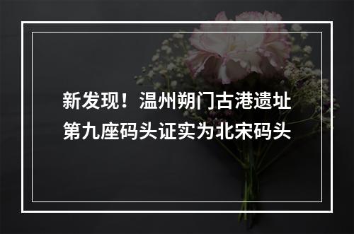 新发现！温州朔门古港遗址第九座码头证实为北宋码头