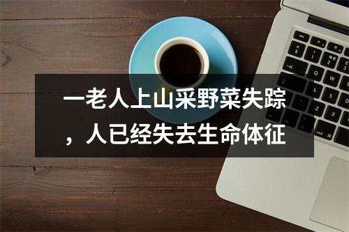 一老人上山采野菜失踪，人已经失去生命体征