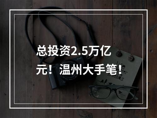 总投资2.5万亿元！温州大手笔！
