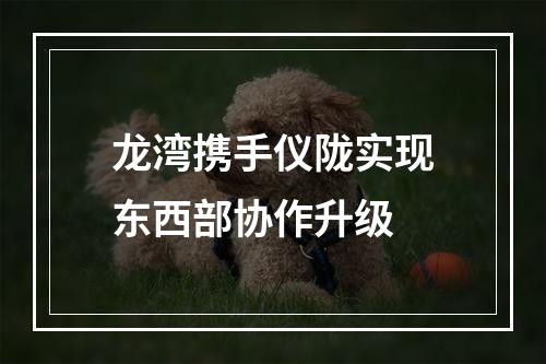 龙湾携手仪陇实现东西部协作升级