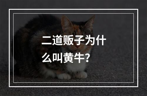 二道贩子为什么叫黄牛？