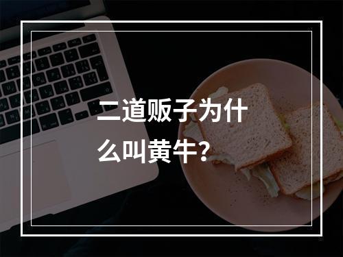二道贩子为什么叫黄牛？