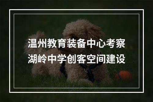 温州教育装备中心考察湖岭中学创客空间建设