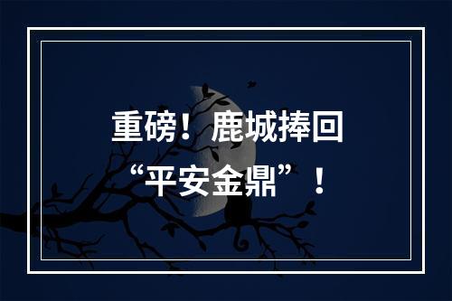 重磅！鹿城捧回“平安金鼎”！