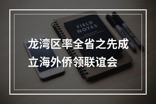 龙湾区率全省之先成立海外侨领联谊会