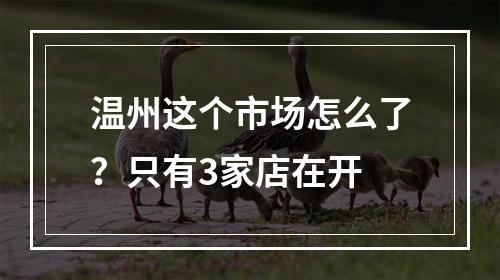 温州这个市场怎么了？只有3家店在开