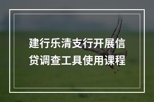 建行乐清支行开展信贷调查工具使用课程