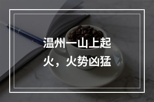 温州一山上起火，火势凶猛