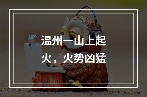 温州一山上起火，火势凶猛