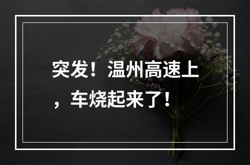 突发！温州高速上，车烧起来了！