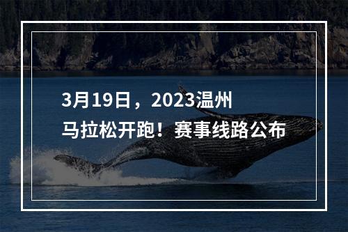 3月19日，2023温州马拉松开跑！赛事线路公布