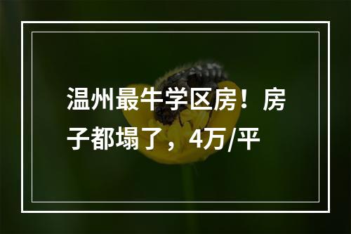 温州最牛学区房！房子都塌了，4万/平