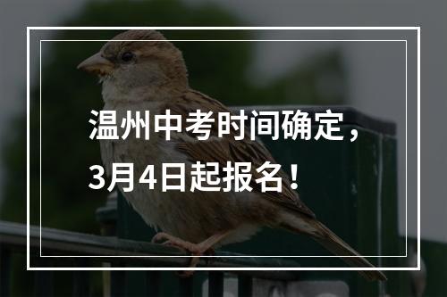 温州中考时间确定，3月4日起报名！