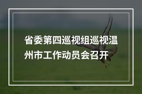 省委第四巡视组巡视温州市工作动员会召开
