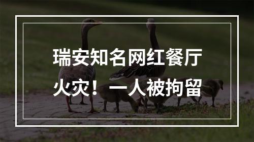 瑞安知名网红餐厅火灾！一人被拘留