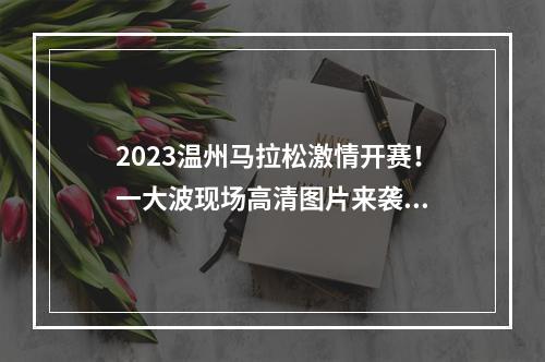 2023温州马拉松激情开赛！一大波现场高清图片来袭...