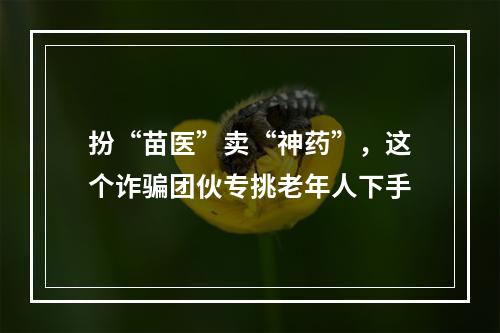 扮“苗医”卖“神药”，这个诈骗团伙专挑老年人下手