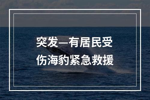 突发—有居民受伤海豹紧急救援