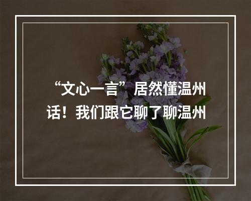 “文心一言”居然懂温州话！我们跟它聊了聊温州