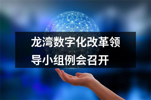 龙湾数字化改革领导小组例会召开