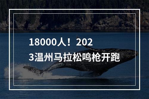 18000人！2023温州马拉松鸣枪开跑