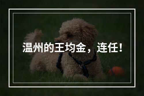 温州的王均金，连任！