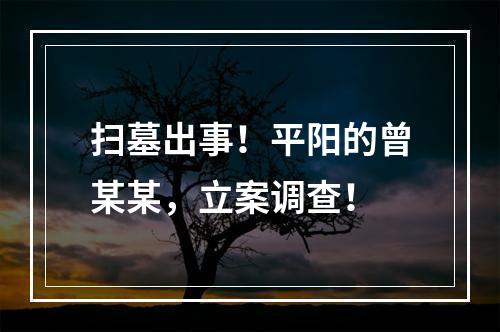 扫墓出事！平阳的曾某某，立案调查！