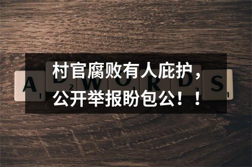 村官腐败有人庇护，公开举报盼包公！！
