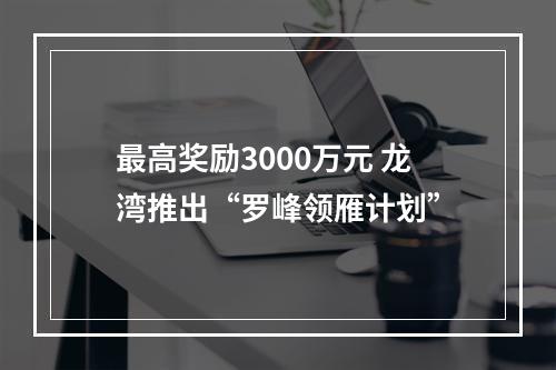 最高奖励3000万元 龙湾推出“罗峰领雁计划”