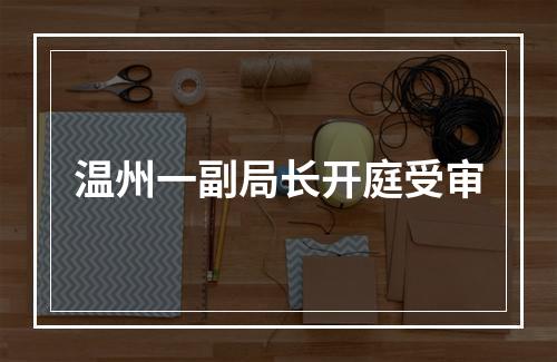 温州一副局长开庭受审