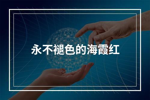 永不褪色的海霞红