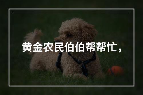 黄金农民伯伯帮帮忙，