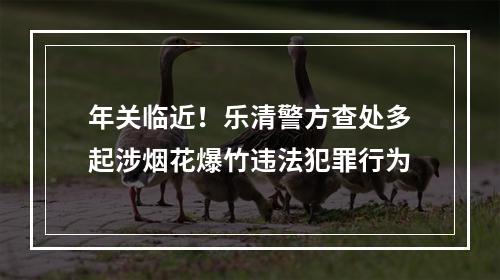 年关临近！乐清警方查处多起涉烟花爆竹违法犯罪行为