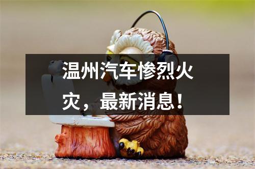 温州汽车惨烈火灾，最新消息！