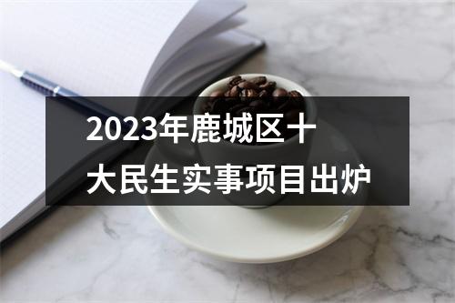 2023年鹿城区十大民生实事项目出炉