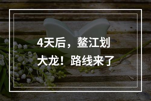 4天后，鳌江划大龙！路线来了