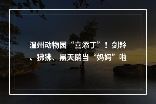 温州动物园“喜添丁”！剑羚、狒狒、黑天鹅当“妈妈”啦