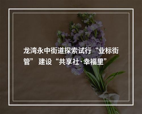 龙湾永中街道探索试行“业标街管” 建设“共享社·幸福里”